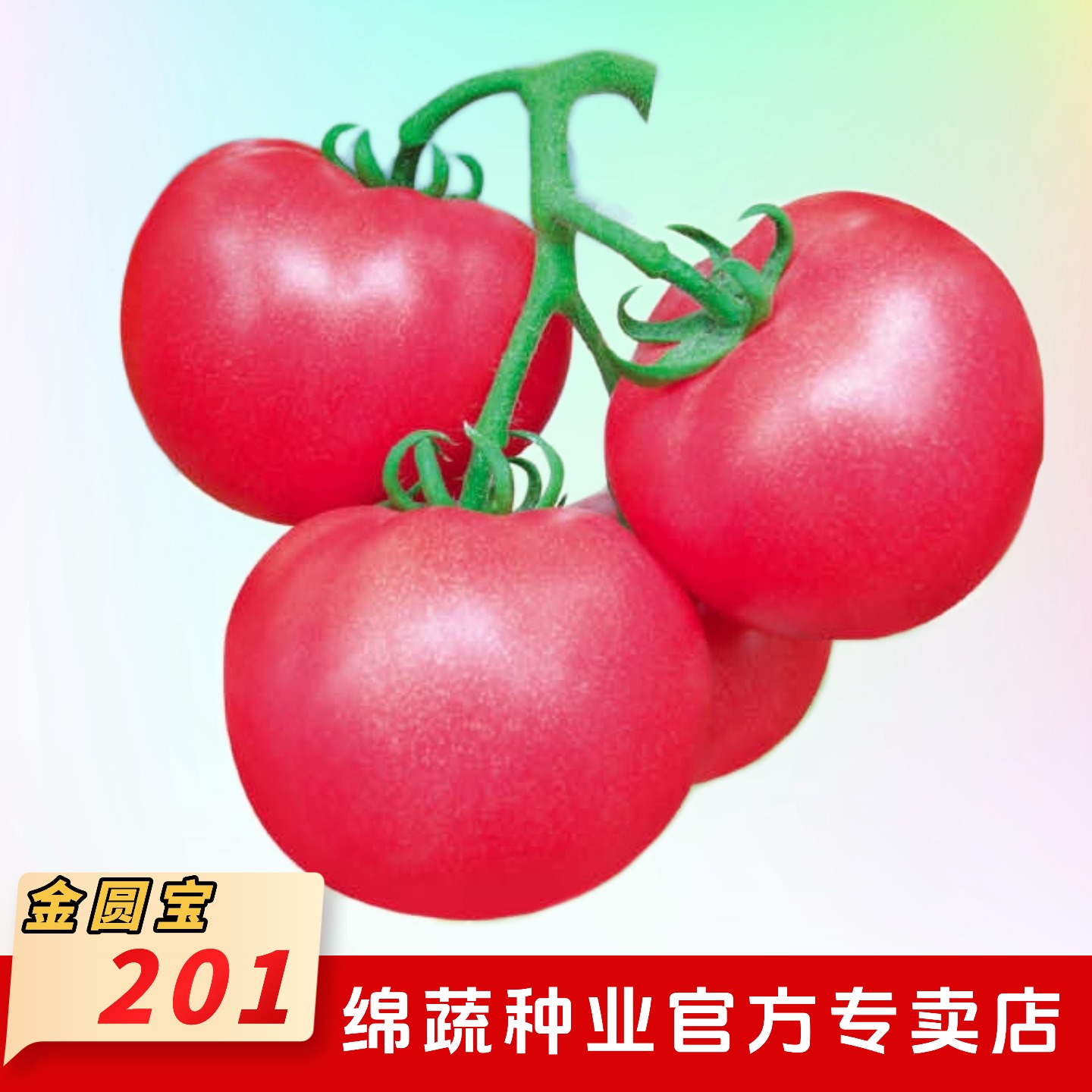 【金圆宝201】正宗沙瓤粉红果番茄西红柿种子大番茄可以生吃易种植