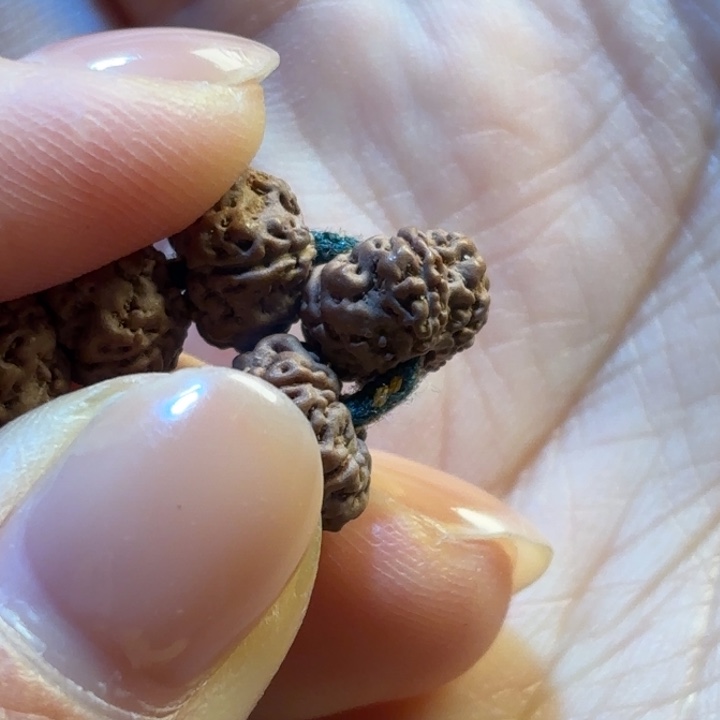 B***t金刚菩提吊坠平细4号