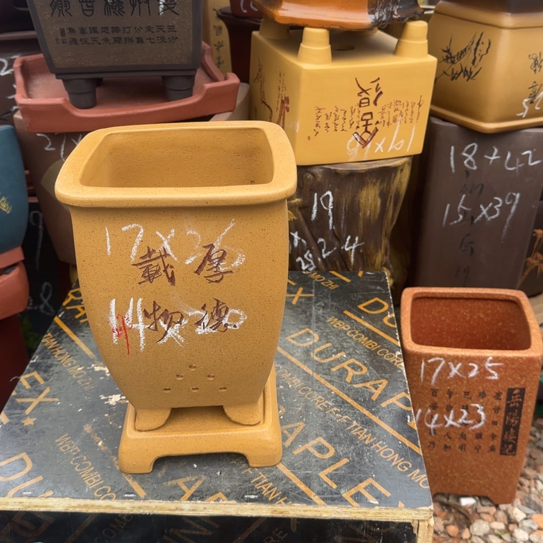 紫砂花盆盆景盆栽