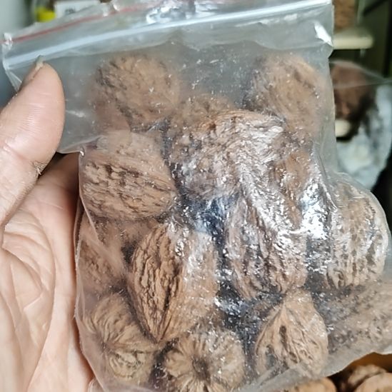 心***人高炮南疆石小籽18颗籽