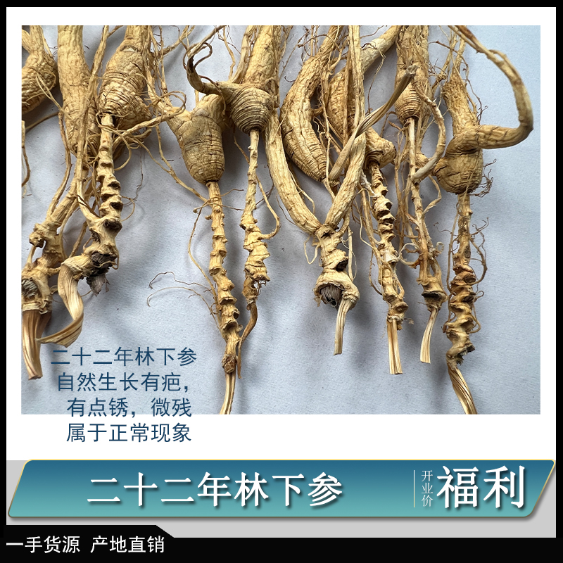 【直播专用】二十二年林下参籽货煲汤泡水10g