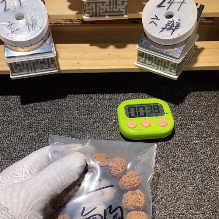 海***空金刚菩提吊坠不说咯么这就是