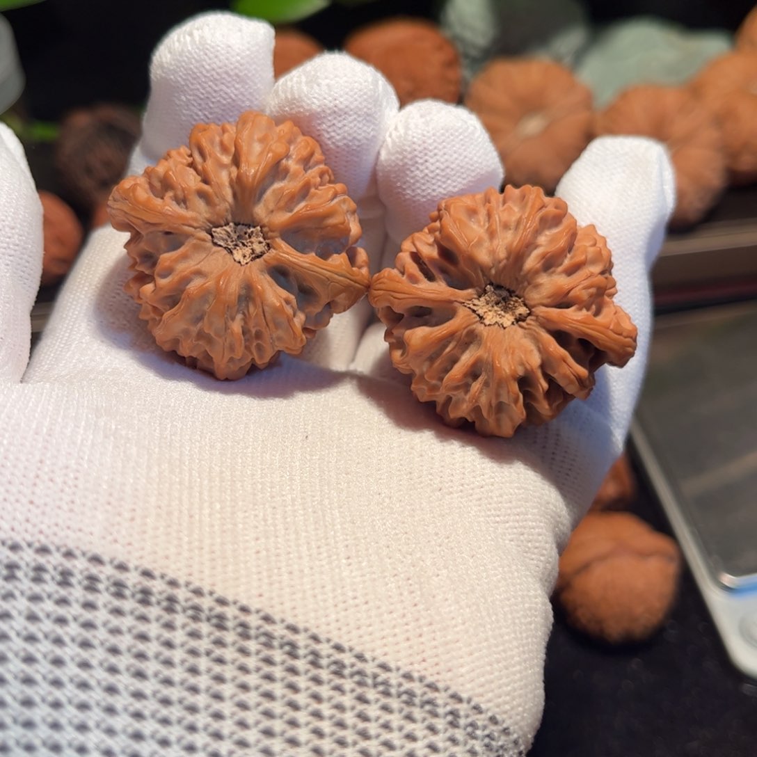 【闪购商品】文玩核桃把件龙门涧40