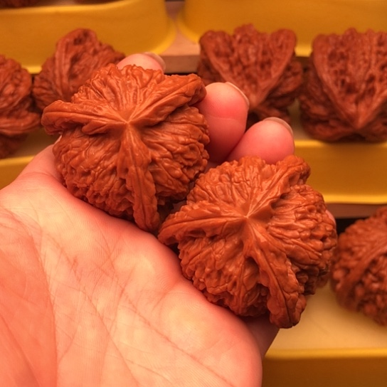 核桃核桃核桃核桃核桃