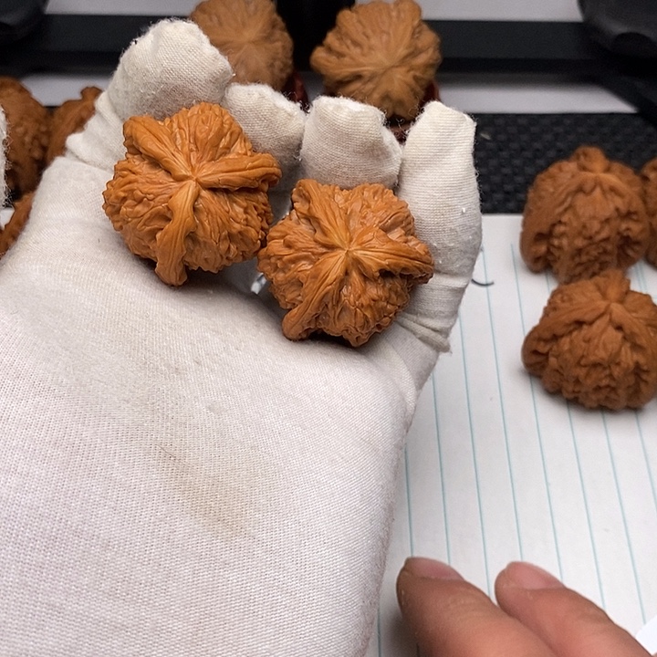 手串/手链核桃白狮子1