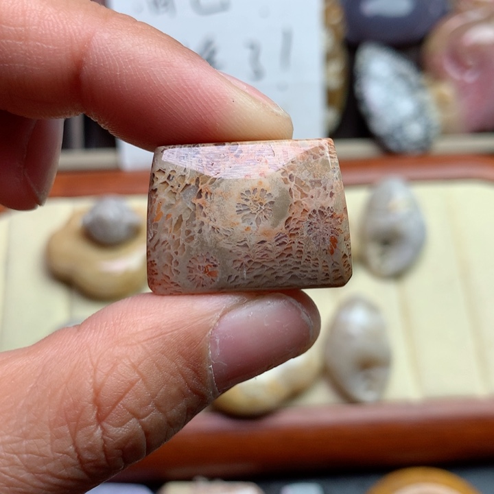 硅化珊瑚（珊瑚玉）颈饰未镶嵌
