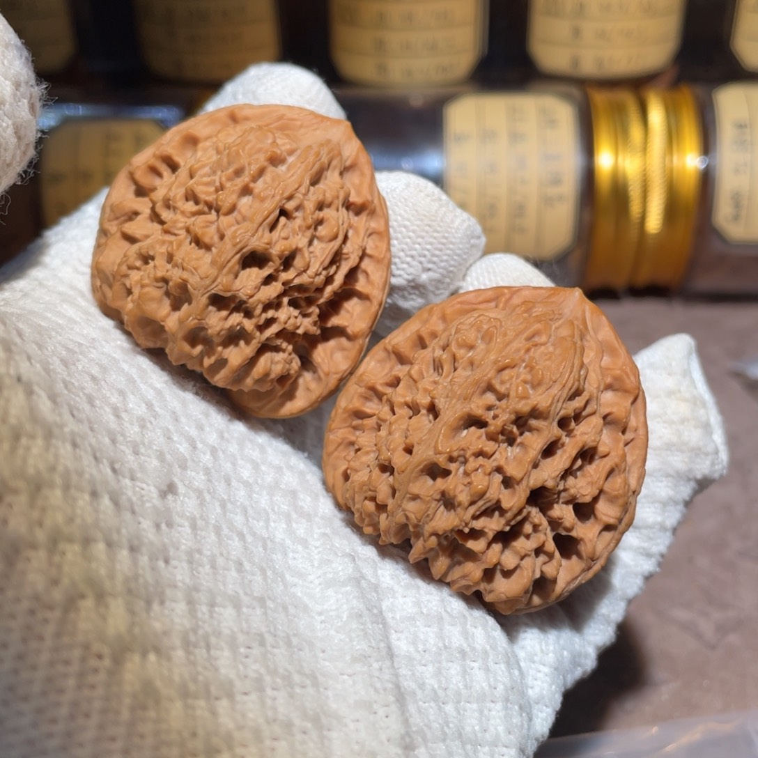 核桃45三角疆jjjjjj