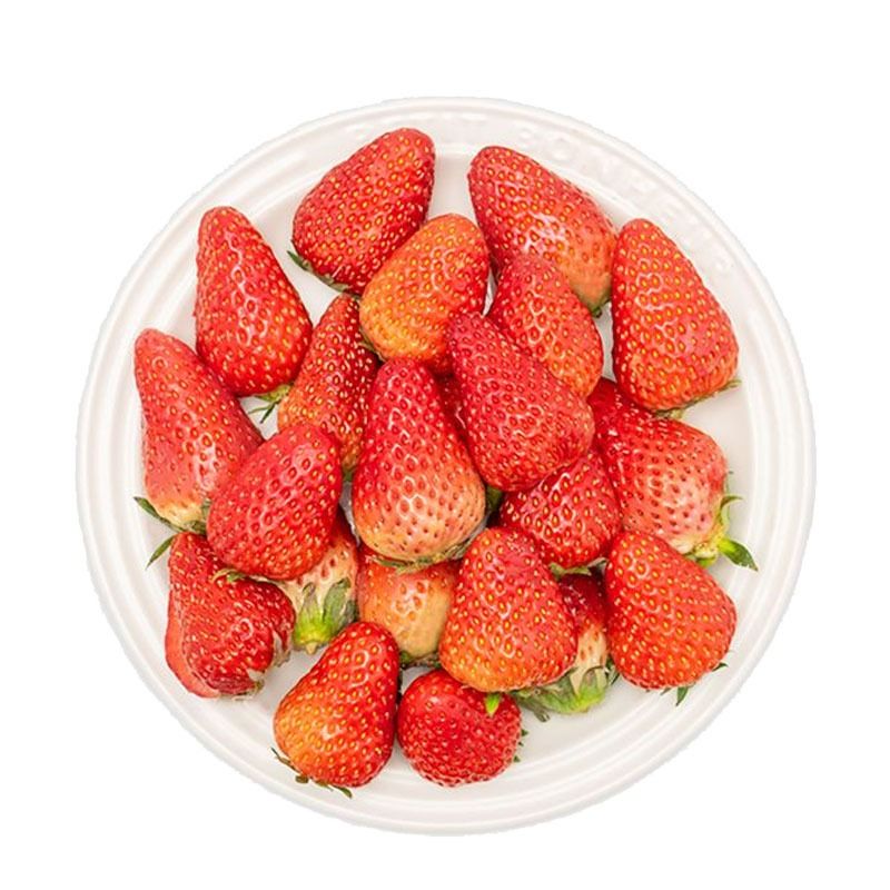 奶油草莓1.4-1.5kg(盆装)