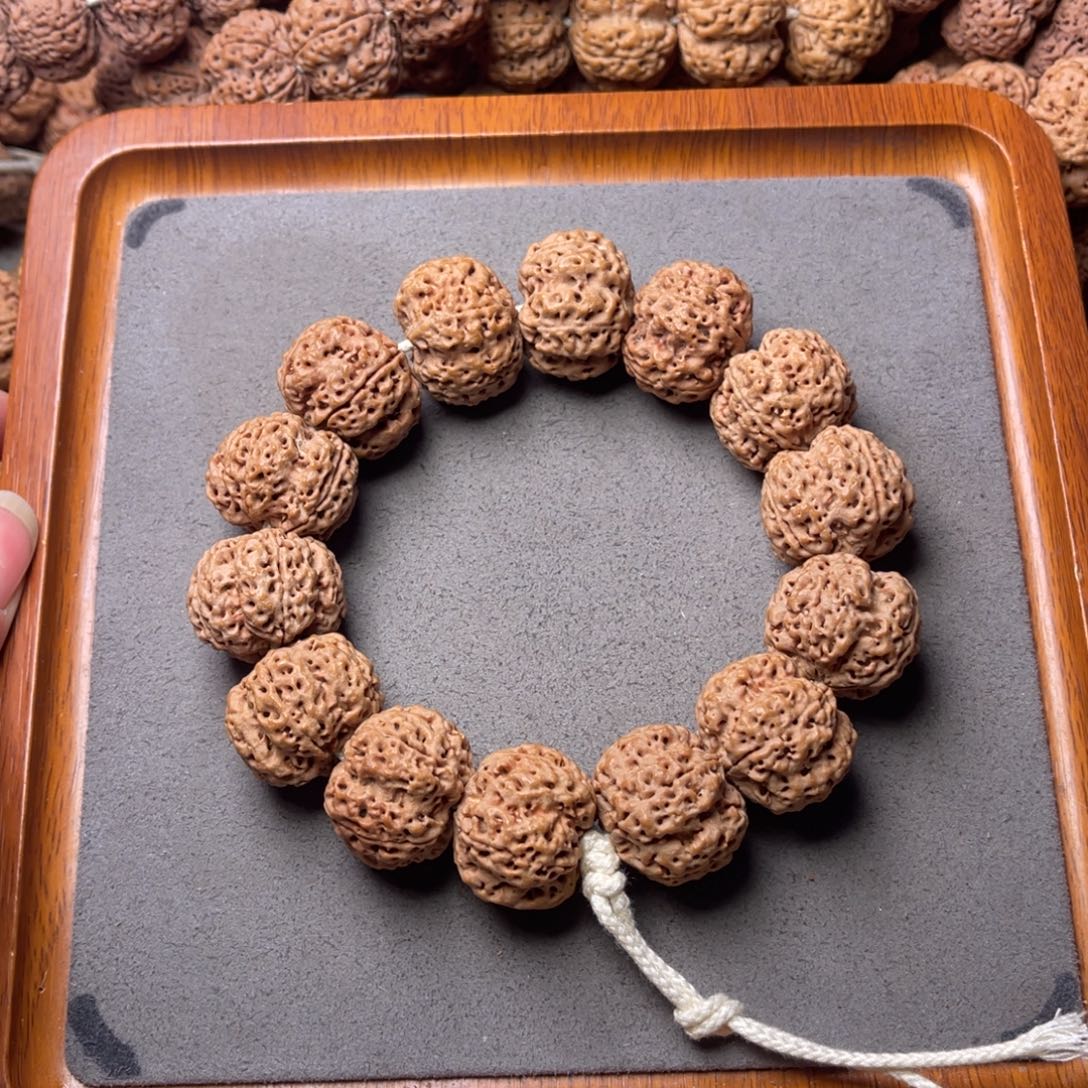 菩提籽类7号金刚菩提梅花双龙24