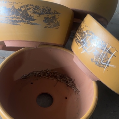 紫砂花盆100-4。             