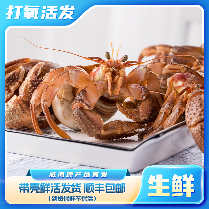 【带壳生鲜海怪】虾怪 保鲜不保活 顺丰包邮 个别壳里有沙蚕 