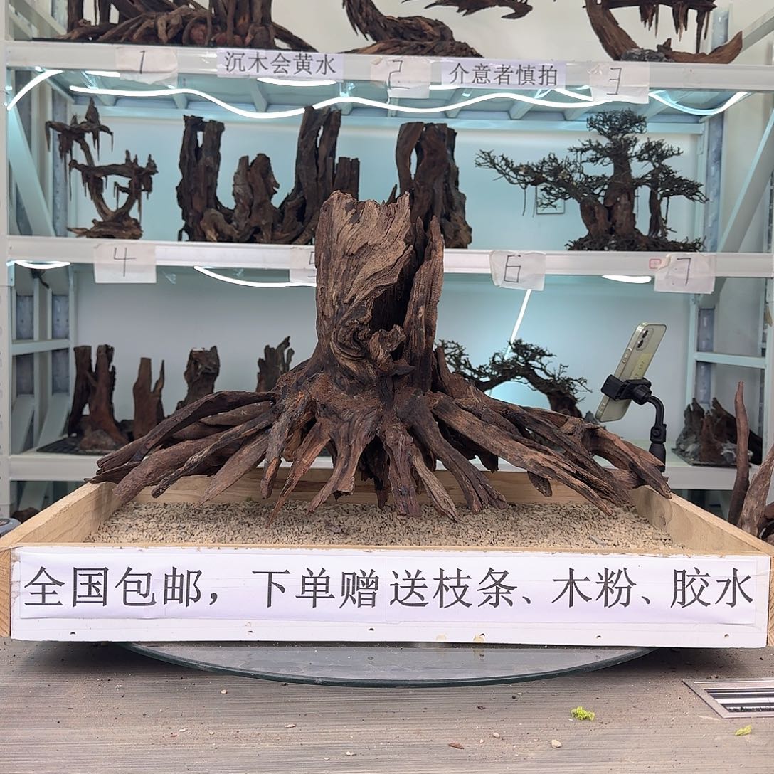 0***7沉木造景沉木造景