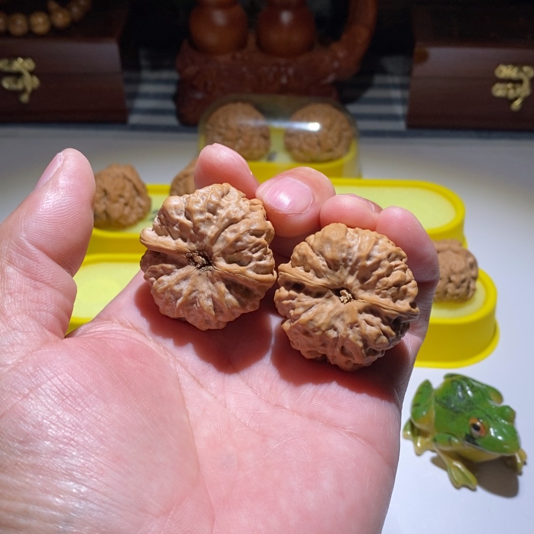 柏香籽/百香籽吊坠是*圆昌平蛙直播中欢迎选购