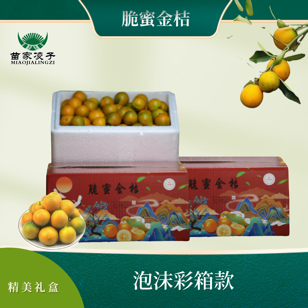 广西第三代脆蜜金桔脆蜜金柑新鲜现摘家庭普通装顺丰包邮脆蜜金桔
