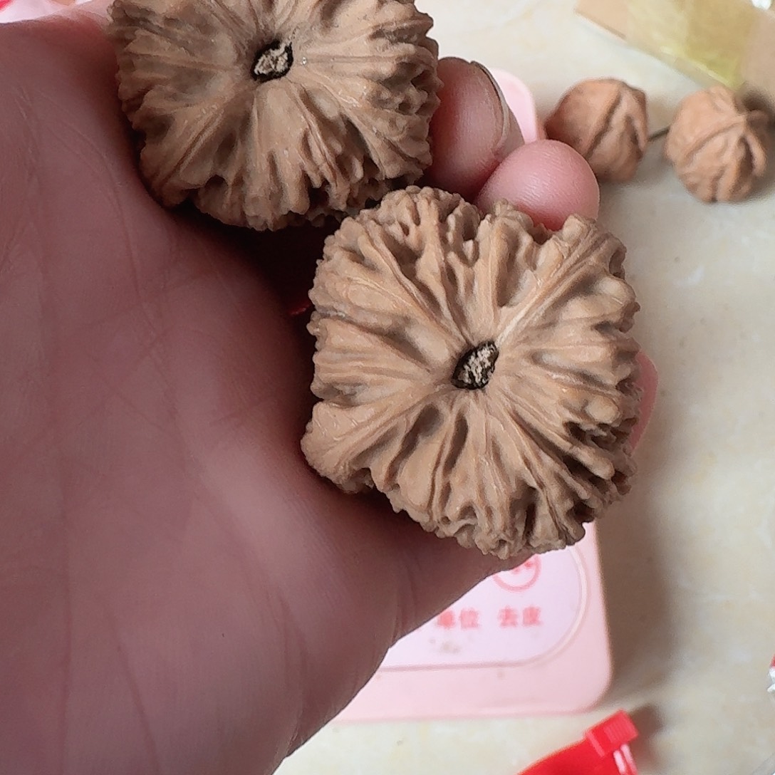 未**欺全品凹底南疆石狮子头