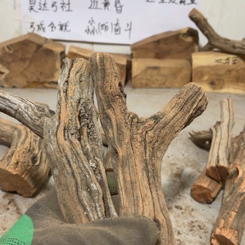 大果紫檀（缅甸花梨）久*