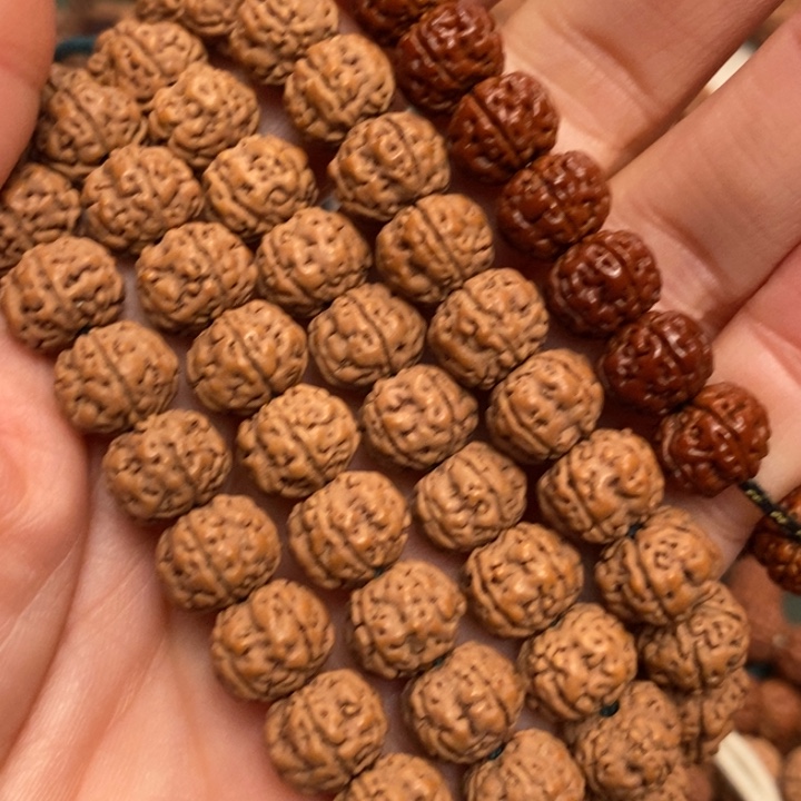 菩提延***房纯血老树王