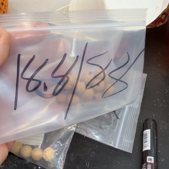 ****⠀文玩核桃吊坠野生桃核福利