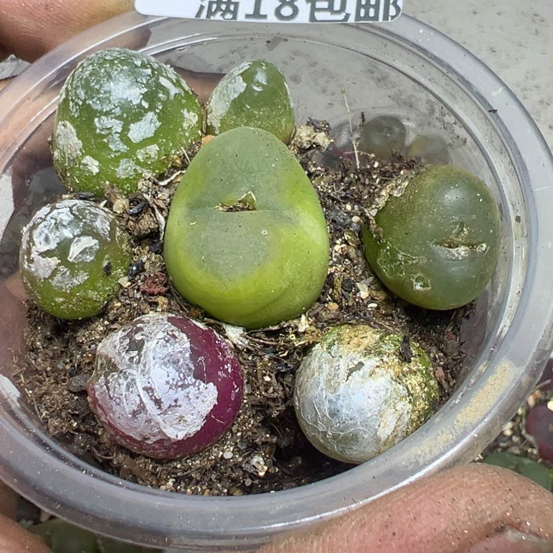 【闪购商品】 352。  