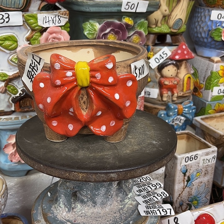 粗陶材质多肉花盆