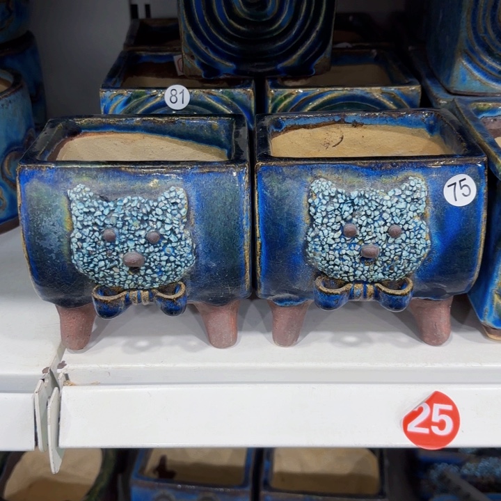 红陶内长9.5宽6.5高10