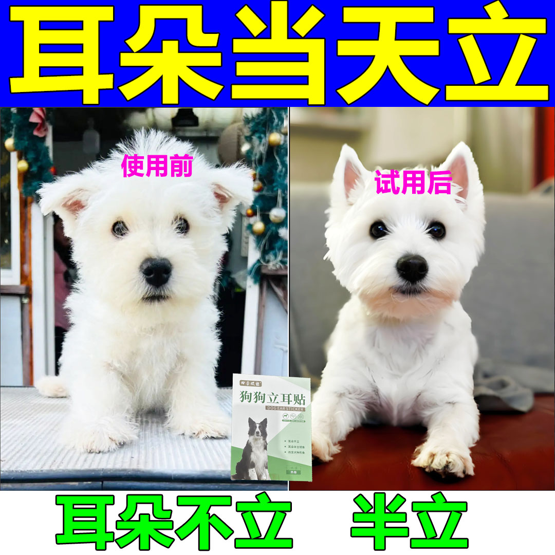 狗狗立耳贴成幼犬耳部护理辅助矫正贴杜宾德牧中大型犬神器