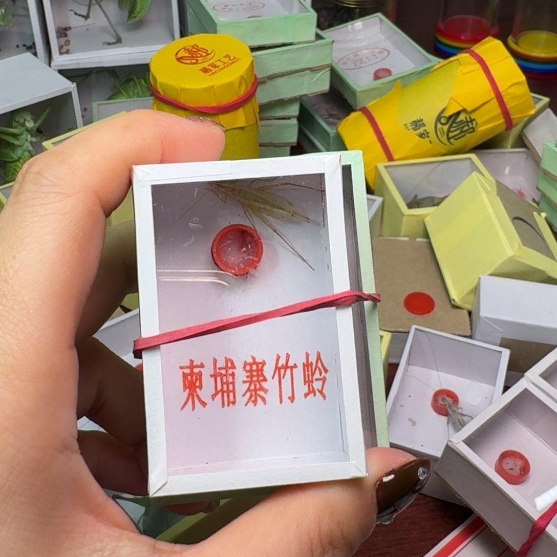 大***包一条大黄一条竹林。    