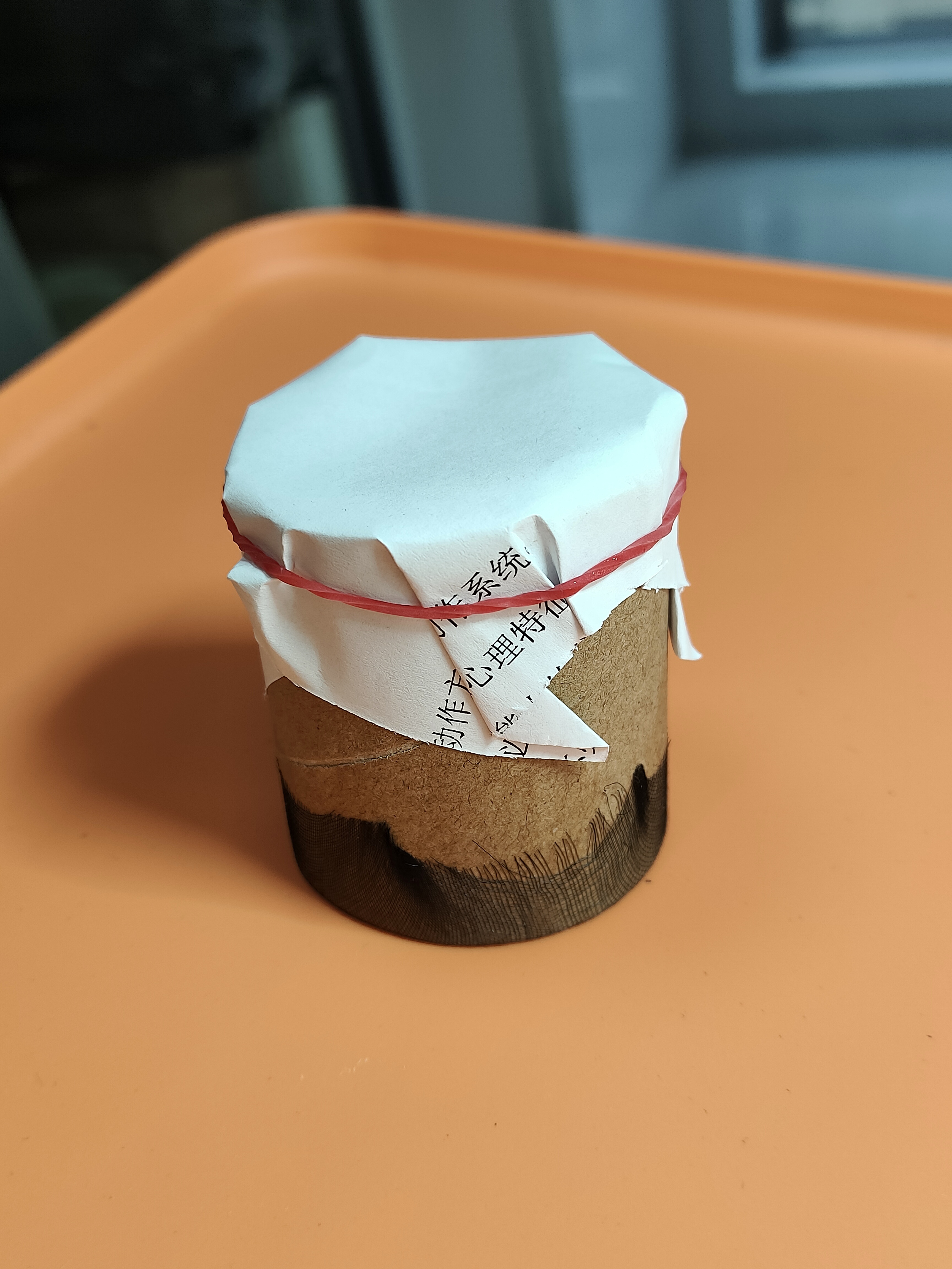 铁皮蝈蝈补差价专用链接