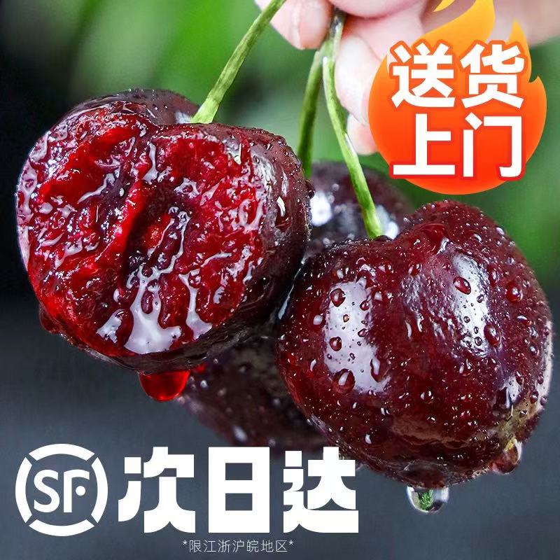 【大象补贴】智利空运桑提娜SANTINA车厘子2J-4JD【次日达】内附果径卡新鲜硬脆800gDX12桑提娜樱桃智利共和国