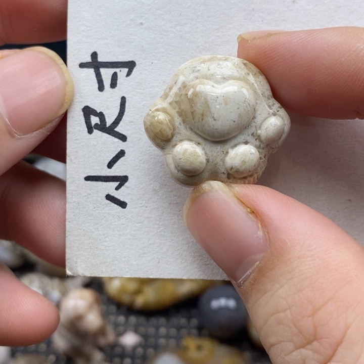 颈饰未镶嵌硅化珊瑚（珊瑚玉）