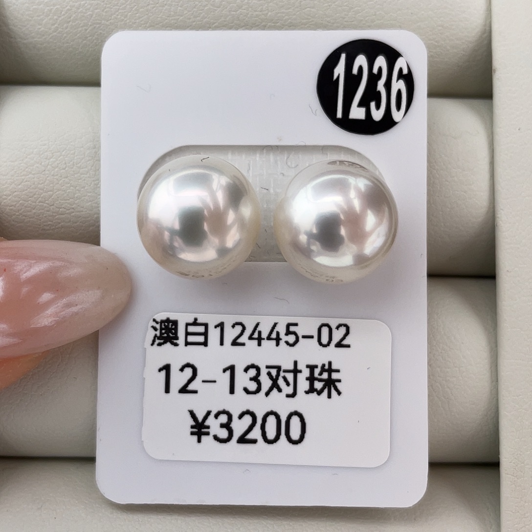 定制海水珍珠未镶嵌耳饰澳白12-13mm