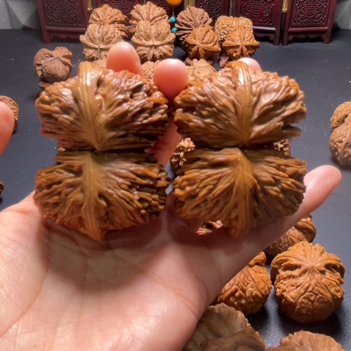 白狮子连体55尺寸核桃哈哈哈哈哈