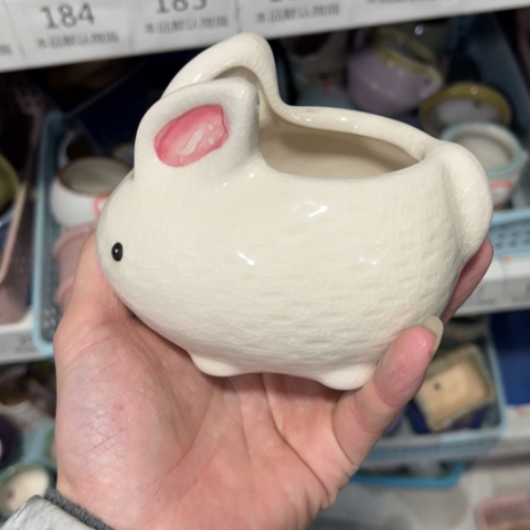 ［所有订单凑满15明天发］