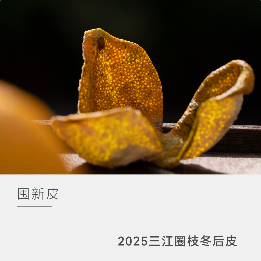 【囤皮福利】泓达堂 2025三江圈枝冬后皮 免费三年仓储