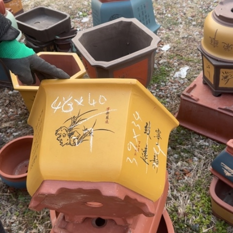 红陶紫砂花盆盆景盆栽