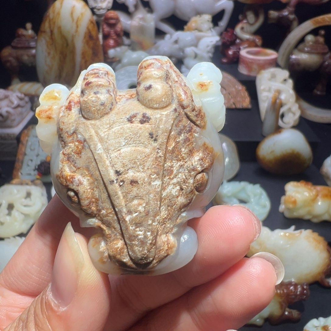 盘起****？o tu ni ba le level