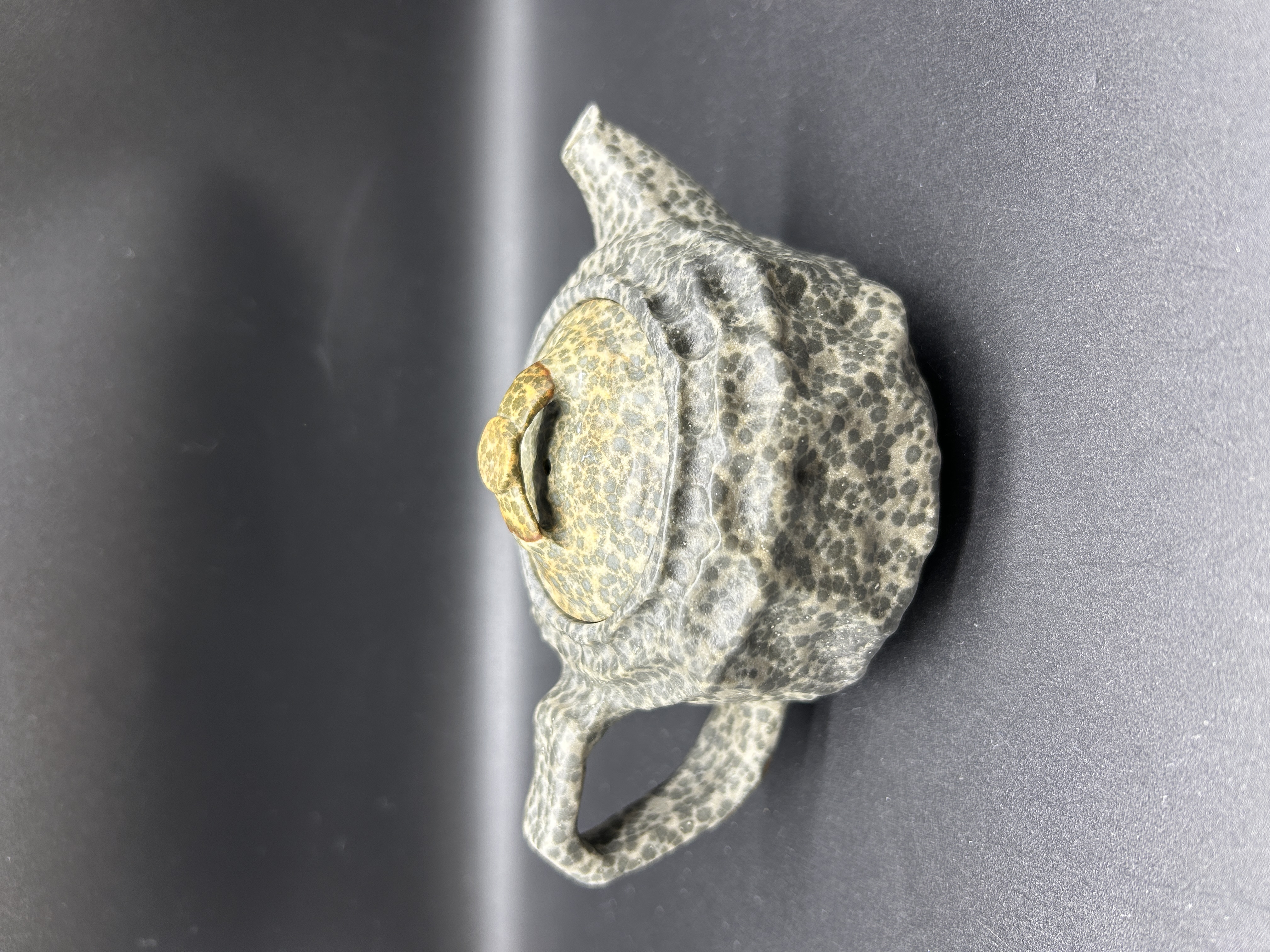 冰碛岩石壶银豹随行壶带原皮全玉化透光容量180毫升左右