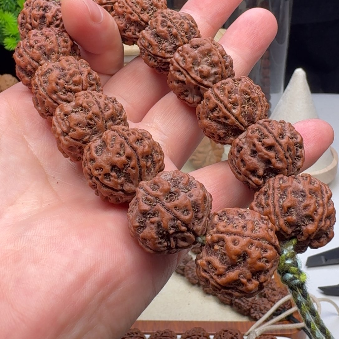 金刚菩提手串大粗筋双龙