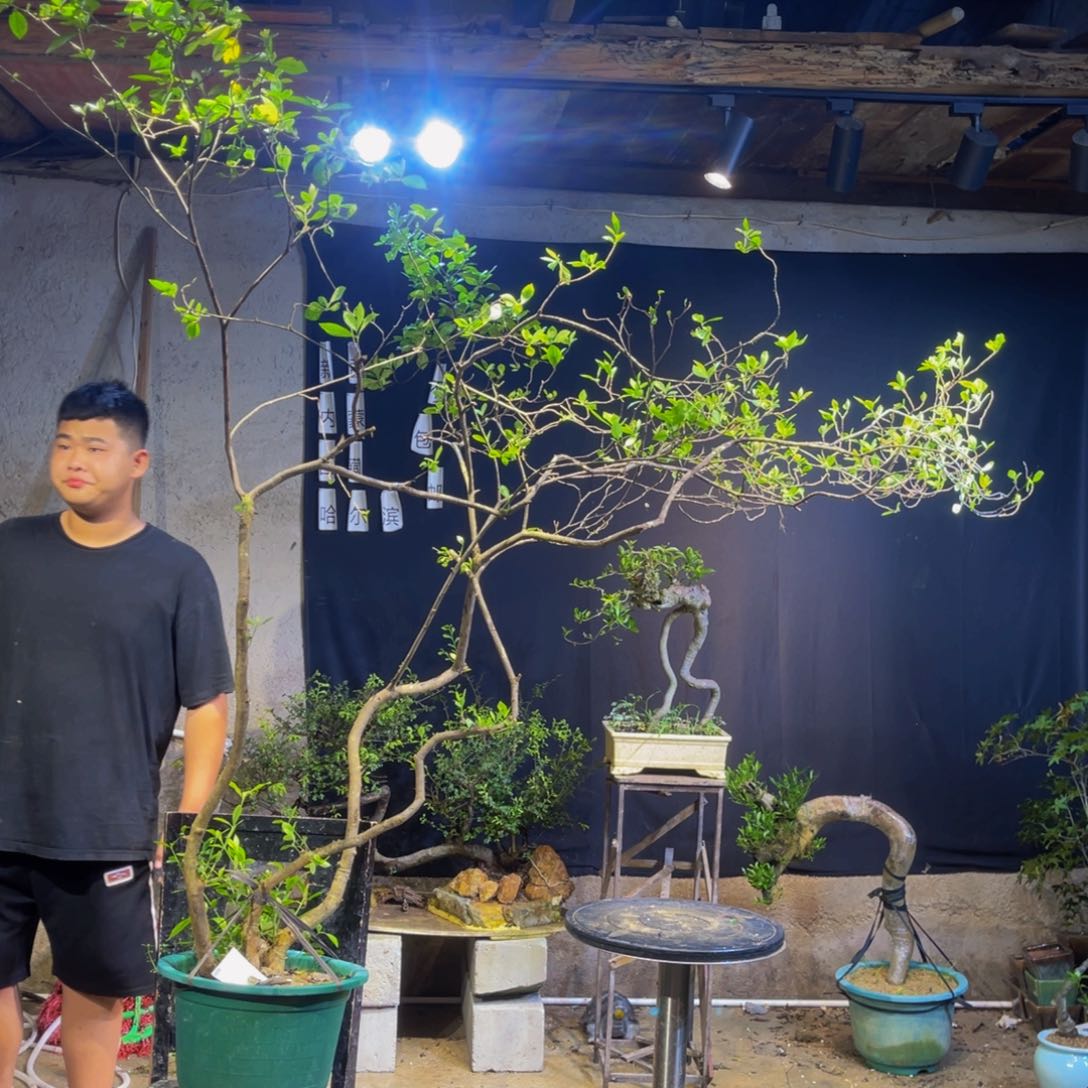 完全开放設****杨姐姐姐姐姐姐姐