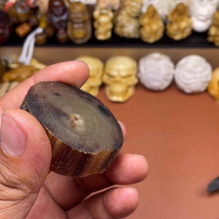 驼骨摆件人工养殖