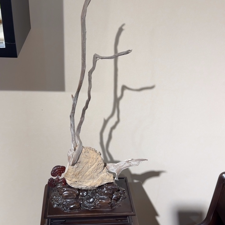 香榧木N****?崖柏抱石黑骨兰花