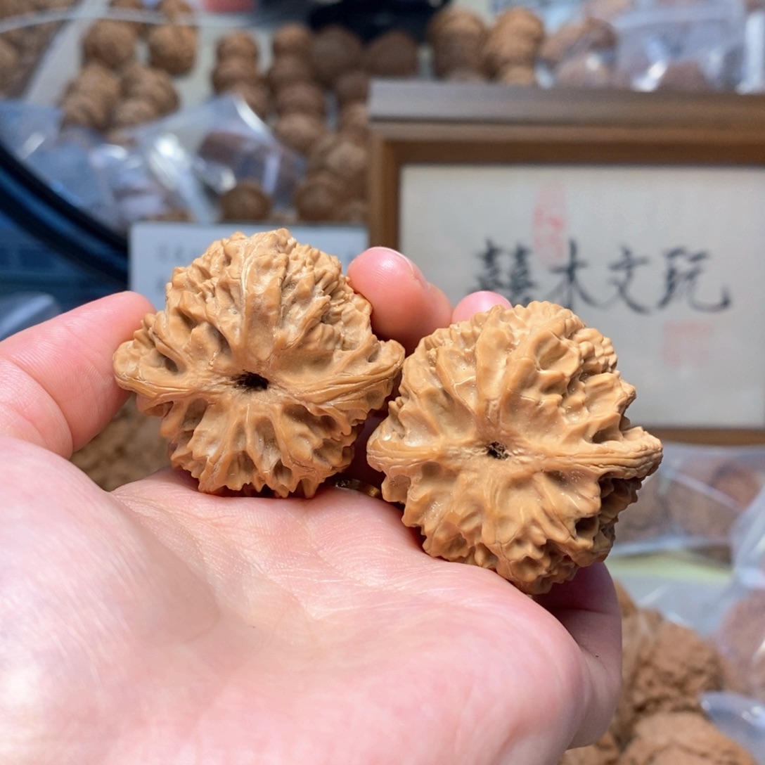 骑***车文玩核桃把件1111111111111111