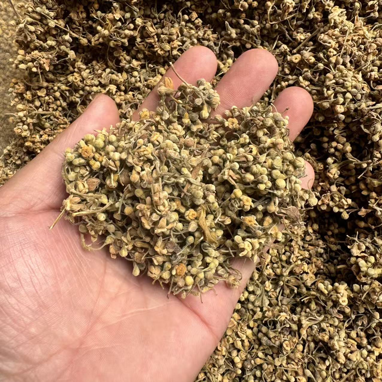 云南优选山货--陈稥花