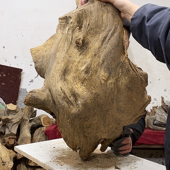 锦***阁柏木我们都是好孩子