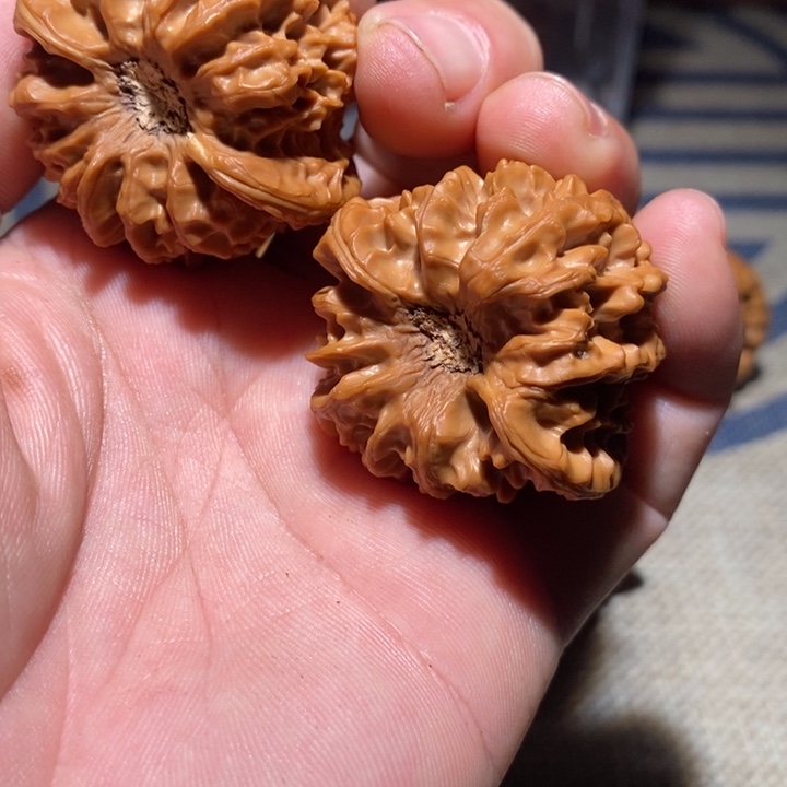 怀***岁文玩核桃吊坠龙门