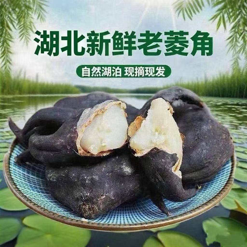 湖北新鲜老菱角粉糯香甜湖北特产带壳现摘现发
