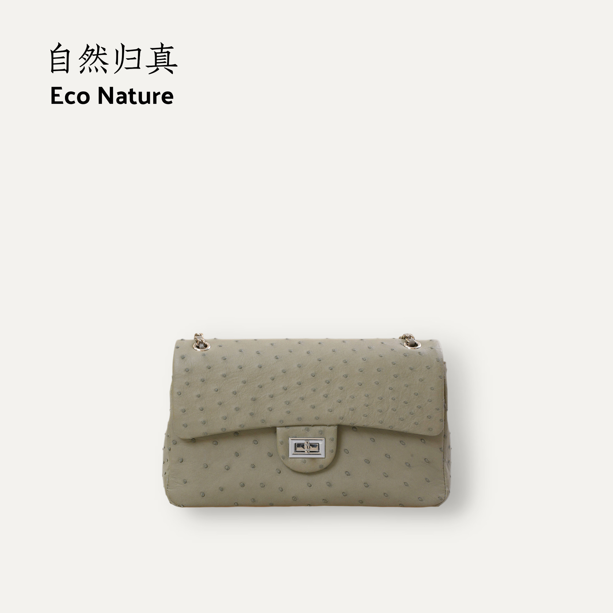 Eco进口鸵鸟皮链条斜挎包5160335