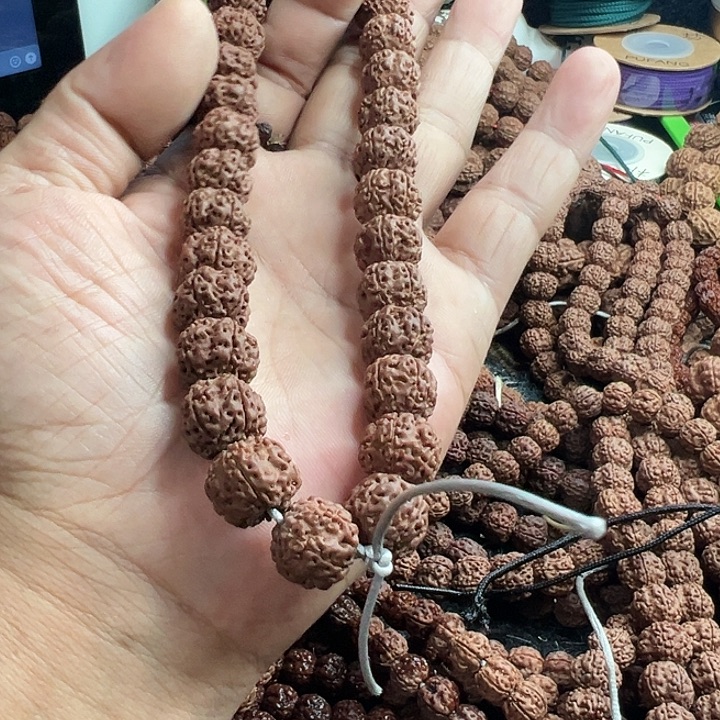 手串金刚菩提红皮平细大手持有备籽