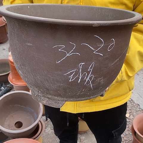 紫砂中国宜兴紫砂花，