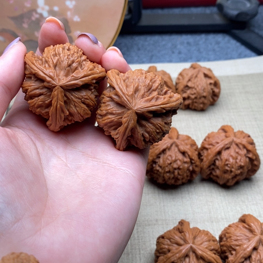 十****饼白狮子1111111111